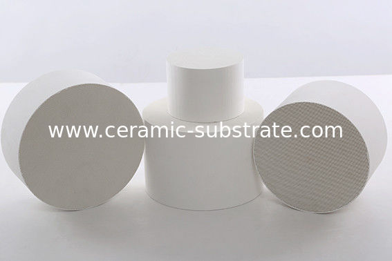 Ceramische de Filterplaat van de autohoningraat, poreuze ceramisch voor Katalysator